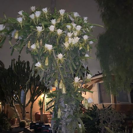 Casitas Felicidades 2 Lägenhet San Diego Exteriör bild