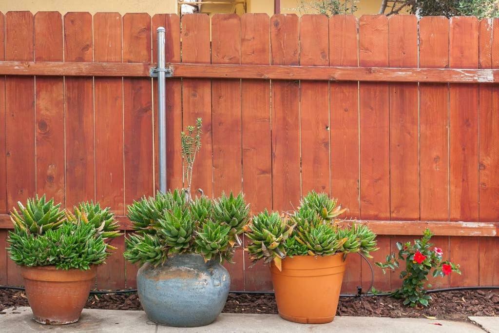 Casitas Felicidades 2 Lägenhet San Diego Exteriör bild